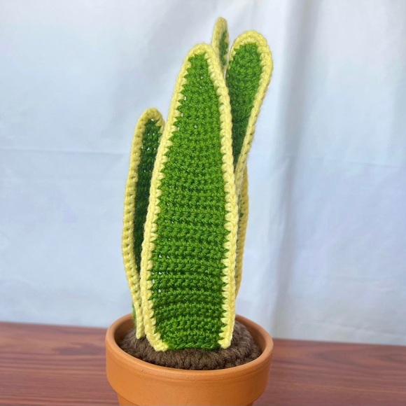 Light Green Crochet Snake Plant